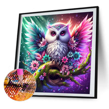 Load image into Gallery viewer, AB Diamond Painting - Full Round - owl (40*40CM)