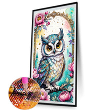 Load image into Gallery viewer, AB Diamond Painting - Full Round - owl (40*70CM)