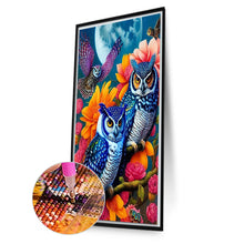 Load image into Gallery viewer, AB Diamond Painting - Full Square - owl (40*60CM)