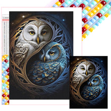 Load image into Gallery viewer, AB Diamond Painting - Full Square - Owl (40*55CM)