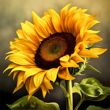 Load image into Gallery viewer, Diamond Painting - Full Round - Sunflower (30*30CM)