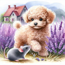 Load image into Gallery viewer, 2pcs AB Diamond Painting - Full Round - lavender poodle parrot (40*40CM)