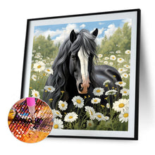 Load image into Gallery viewer, Diamond Painting - Full Round - Horse (40*40CM)