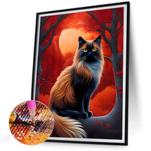 Load image into Gallery viewer, Diamond Painting - Full Round - Cat (30*40CM)