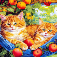 Load image into Gallery viewer, Diamond Painting - Full Round - Orange cat (40*40CM)