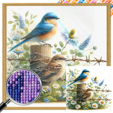 Load image into Gallery viewer, AB Diamond Painting - Full Square - Bird (30*30CM)