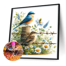 Load image into Gallery viewer, AB Diamond Painting - Full Square - Bird (30*30CM)