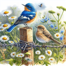 Load image into Gallery viewer, AB Diamond Painting - Full Square - Bird (30*30CM)