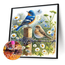 Load image into Gallery viewer, AB Diamond Painting - Full Square - Bird (30*30CM)