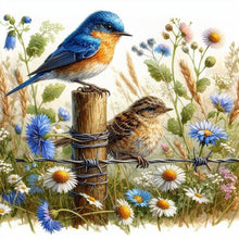 Load image into Gallery viewer, AB Diamond Painting - Full Square - Bird (30*30CM)