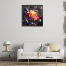 Load image into Gallery viewer, Diamond Painting - Full Round - Rose (30*30CM)