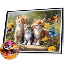 Load image into Gallery viewer, Diamond Painting - Full Square - Cat (40*30CM)