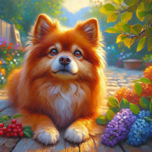 Load image into Gallery viewer, Diamond Painting - Full Round - Pomeranian (40*40CM)