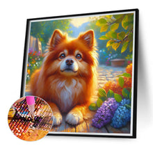 Load image into Gallery viewer, Diamond Painting - Full Round - Pomeranian (40*40CM)