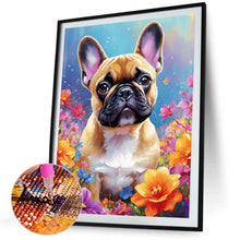 Load image into Gallery viewer, Diamond Painting - Full Square - Bulldog (40*50CM)