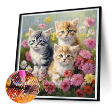 Load image into Gallery viewer, Diamond Painting - Full Round - Flower cat (30*30CM)