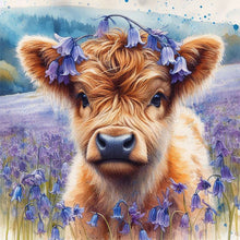Load image into Gallery viewer, Diamond Painting - Full Round - Highland yak (30*30CM)