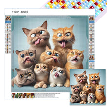 Load image into Gallery viewer, Diamond Painting - Full Square - A group of naughty Cat (40*40CM)