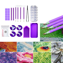 Load image into Gallery viewer, Diamond Art Pen Kit Rhinestones Storage Case Diamond Painting Accessories Kit