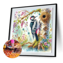 Load image into Gallery viewer, Diamond Painting - Partial Special Shaped - Woodpecker (40*40CM)