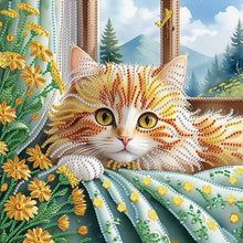 Load image into Gallery viewer, Diamond Painting - Partial Special Shaped - Lazy cat (30*30CM)
