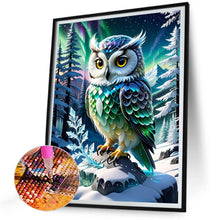 Load image into Gallery viewer, Diamond Painting - Full Round - Owl in the snow (30*40CM)
