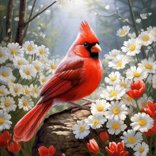 Load image into Gallery viewer, Diamond Painting - Full Round - Red Cardinal (30*30CM)