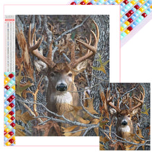 Load image into Gallery viewer, Diamond Painting - Full Square - Deer (30*40CM)