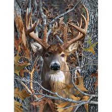 Load image into Gallery viewer, Diamond Painting - Full Square - Deer (30*40CM)