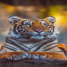 Load image into Gallery viewer, AB Diamond Painting - Full Round - Tiger photo (40*80CM)