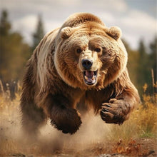 Load image into Gallery viewer, Diamond Painting - Full Round - Brown Bear (30*30CM)