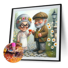 Load image into Gallery viewer, Diamond Painting - Full Square - Old couple (30*30CM)