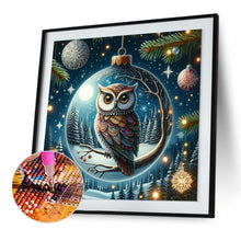 Load image into Gallery viewer, Diamond Painting - Full Round - Winter Owl Eggs (30*30CM)