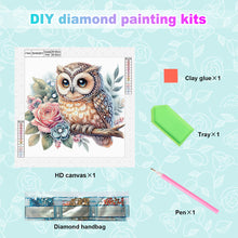 Load image into Gallery viewer, Diamond Painting - Partial Special Shaped - Owl (30*30CM)