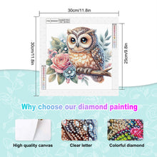 Load image into Gallery viewer, Diamond Painting - Partial Special Shaped - Owl (30*30CM)