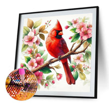 Load image into Gallery viewer, Diamond Painting - Full Round - Red cardinal (30*30CM)