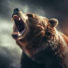 Load image into Gallery viewer, Diamond Painting - Full Round - Brown bear (40*40CM)