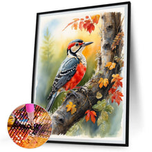 Load image into Gallery viewer, Diamond Painting - Full Square - Woodpecker (30*40CM)