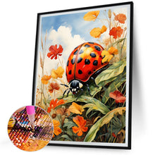 Load image into Gallery viewer, Diamond Painting - Full Square - Ladybug (30*40CM)