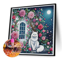 Load image into Gallery viewer, Diamond Painting - Full Round - White cat on rose window (30*30CM)