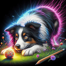 Load image into Gallery viewer, AB Diamond Painting - Full Round - Playing ball pet (40*40CM)