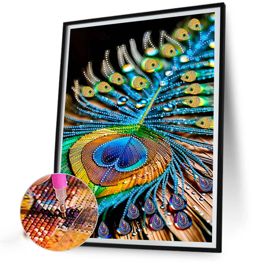 Diamond Painting - Partial Special Shaped - Gorgeous feathers (30*40CM)