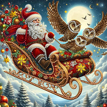 Load image into Gallery viewer, Diamond Painting - Partial Special Shaped - Santa Claus owl (30*30CM)