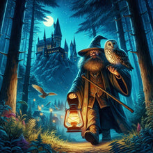 Load image into Gallery viewer, Diamond Painting - Full Round - Wizard finding his way at night (50*50CM)