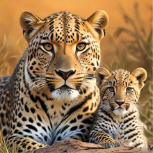 Load image into Gallery viewer, Diamond Painting - Full Round - Lion on the grassland (30*30CM)