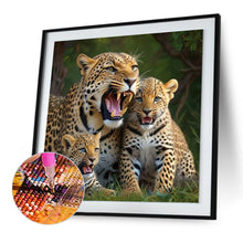 Load image into Gallery viewer, Diamond Painting - Full Round - Lion on the grassland (30*30CM)
