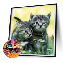 Load image into Gallery viewer, Diamond Painting - Full Round - Two kittens on the grass (30*30CM)