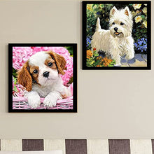 Load image into Gallery viewer, Magnetic DIY Diamond Painting Art Decor Self Adhesive Simple for Art Crafts