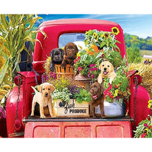 Load image into Gallery viewer, Diamond Painting - Full Round - Dogs on the farm pickup (50*40CM)
