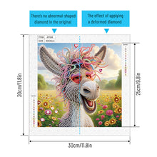 Load image into Gallery viewer, Diamond Painting - Partial Special Shaped - Funny donkey (30*30CM)